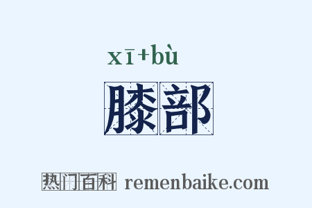 膝部是什么意思的图片